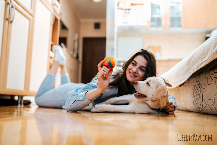 Woman lying on the floor at home playing with her dog and a colorful ball