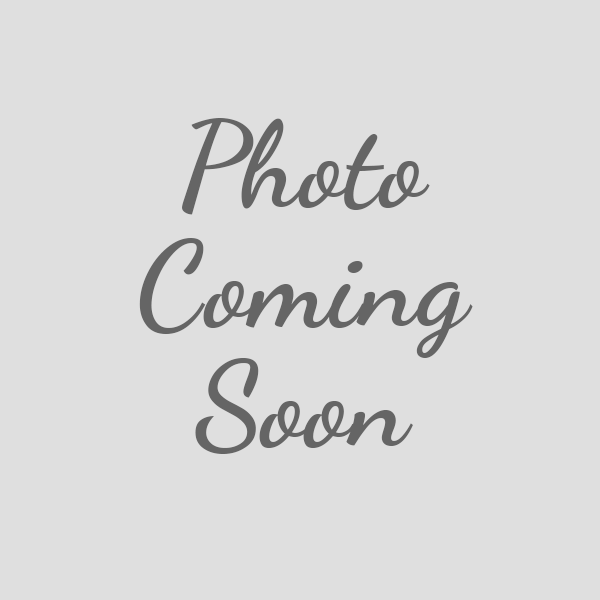 Tan Nylon Webbing 6ft Dog Leash - 809