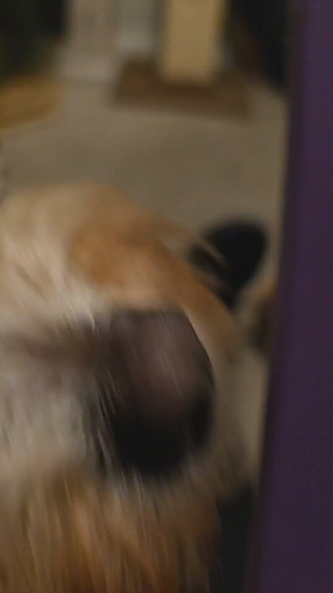 Untangler Detangling comb video review