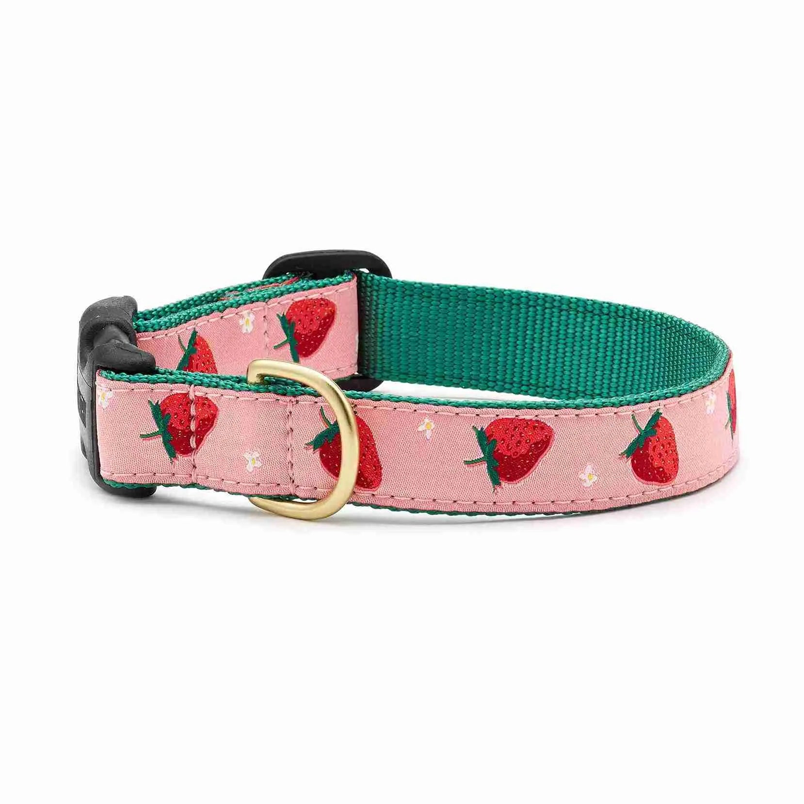 Close-up of  Strawberry Fields adjustable dog collar with strawberry print
