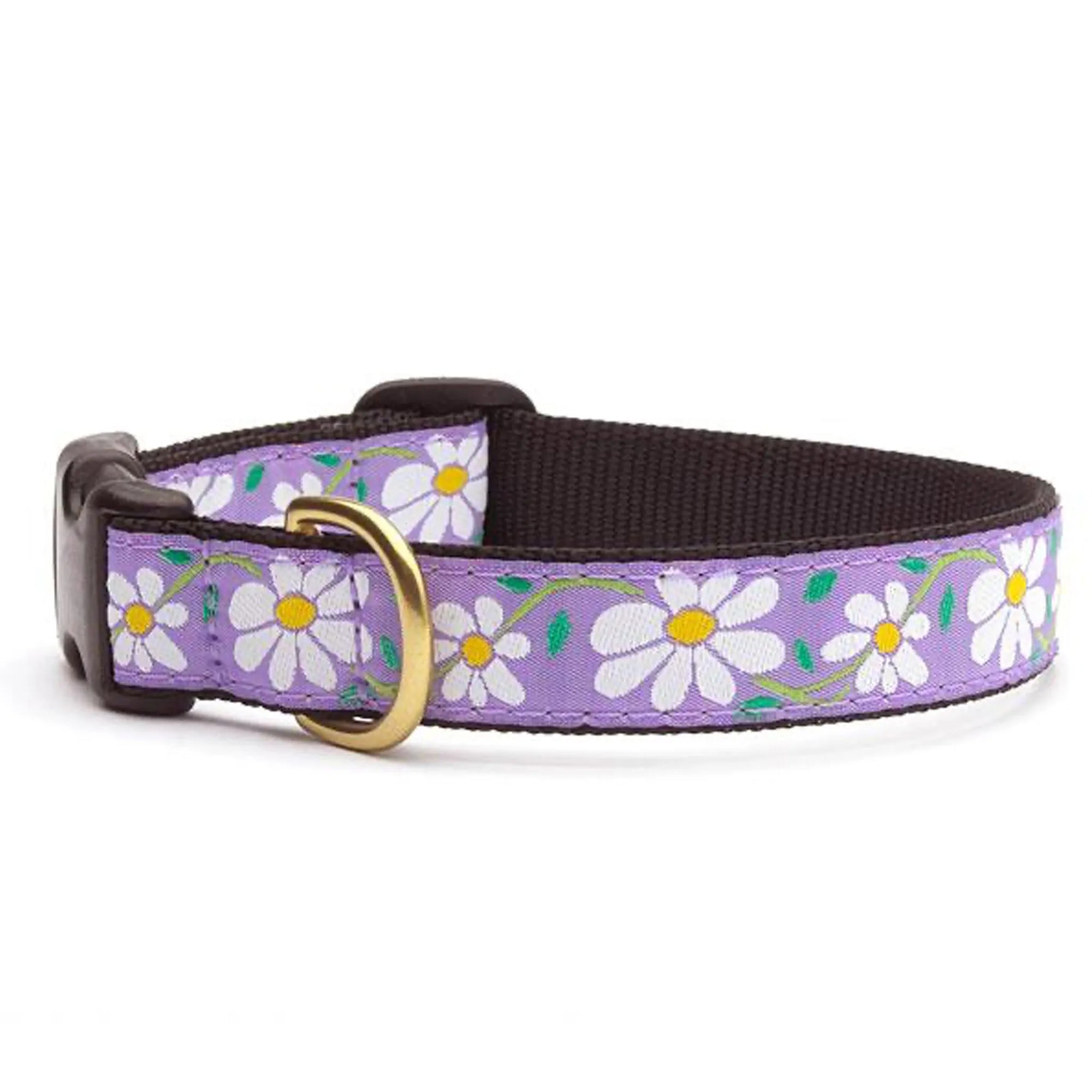 Up Country Dog UpCountry Daisy Dog Collar | Made in America